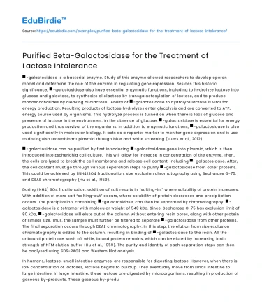 Purified Beta-Galactosidase for the Treatment of Lactose Intolerance