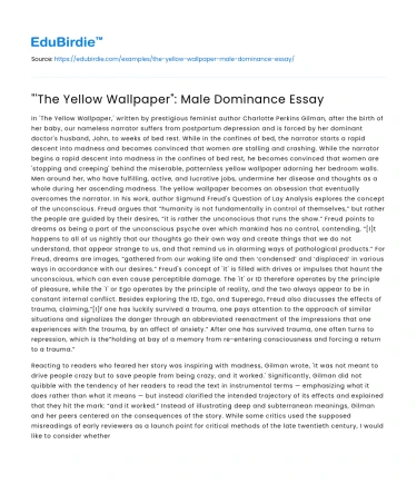 “‘The Yellow Wallpaper”: Male Dominance Essay