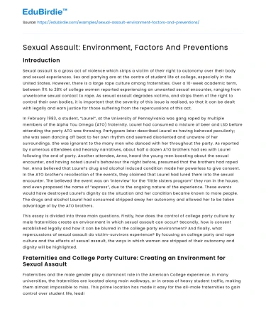 Sexual Assault: Environment, Factors And Preventions