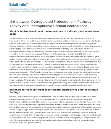 Dysregulated Protocadherin Pathway and Schizophrenia Analysis