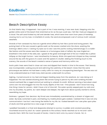 Beach Descriptive Essay