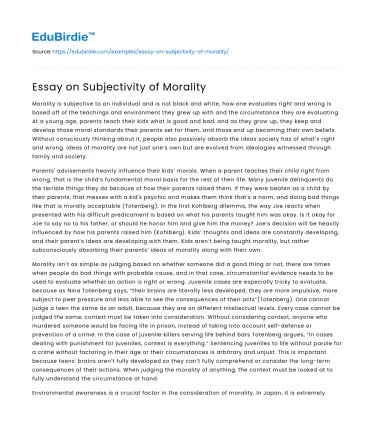 Essay on Subjectivity of Morality
