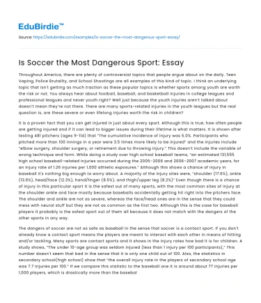 Is Soccer the Most Dangerous Sport: Essay