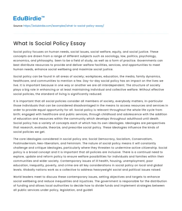 What Is Social Policy Essay