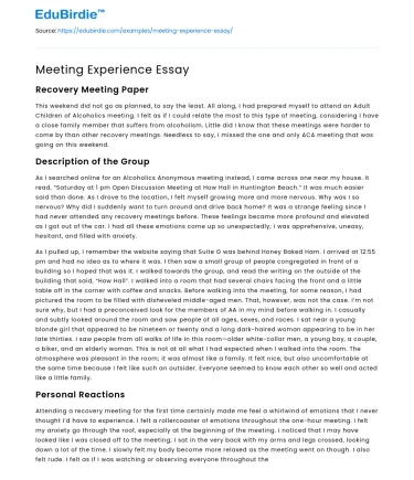 Meeting Experience Essay