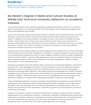 Reflection on Media and Cultural Studies at METU