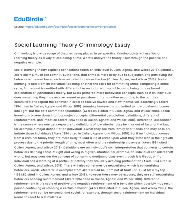 Social Learning Theory Criminology Essay