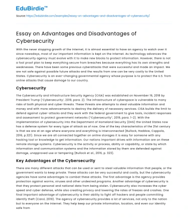 Essay on Advantages and Disadvantages of Cybersecurity
