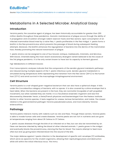 Metabolisms in A Selected Microbe: Analytical Essay