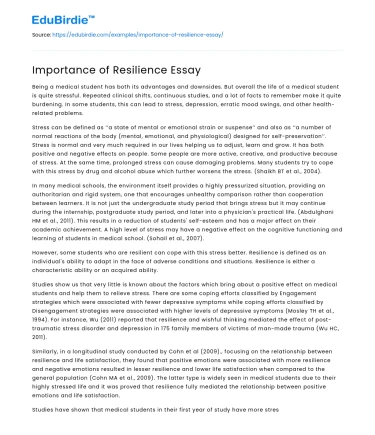 Importance of Resilience Essay