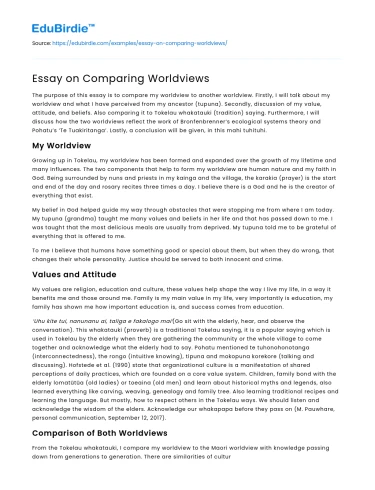 Essay on Comparing Worldviews