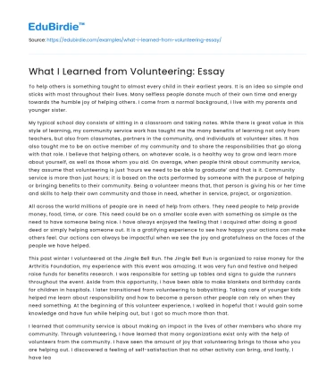 What I Learned from Volunteering: Essay