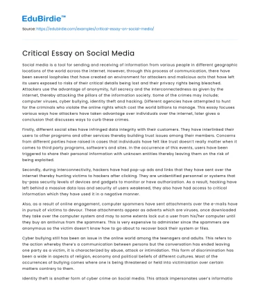 Critical Essay on Social Media