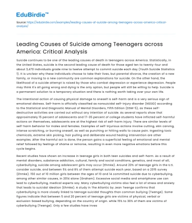 Causes of Teen Suicide in America: Critical Analysis