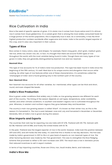 Rice Cultivation in India