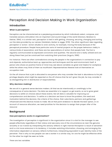 Perception And Decision Making In Work Organisation