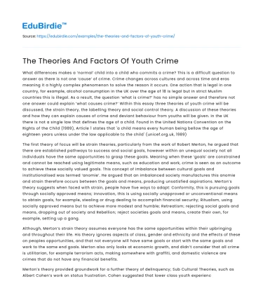 The Theories And Factors Of Youth Crime