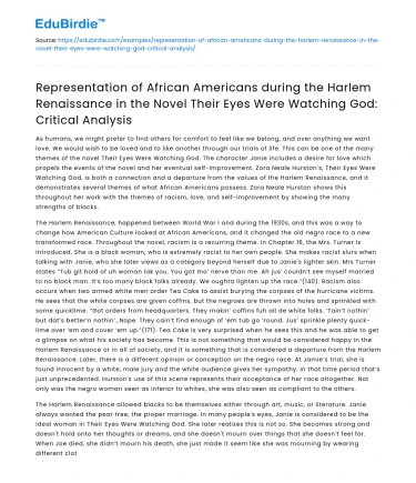 African Americans in Harlem Renaissance: Their Eyes Were Watching God