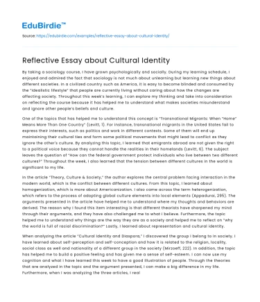 Reflective Essay about Cultural Identity