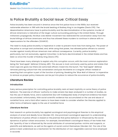 Is Police Brutality a Social Issue: Critical Essay