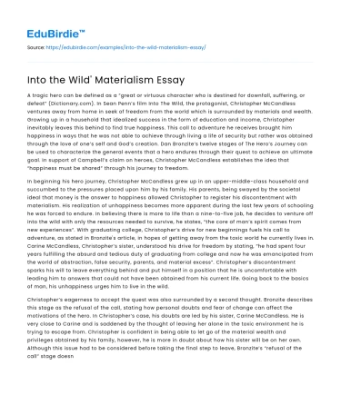 Into the Wild’ Materialism Essay
