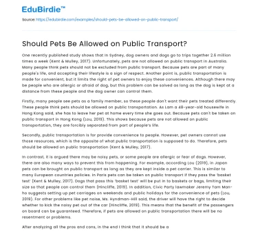 Should Pets Be Allowed on Public Transport?