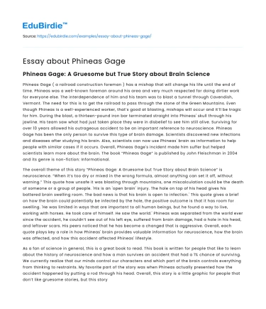 Essay about Phineas Gage