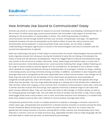 How Animals Use Sound to Communicate? Essay