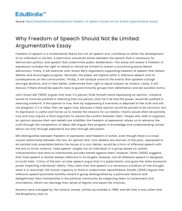 Why Freedom of Speech Should Not Be Limited: Argumentative Essay