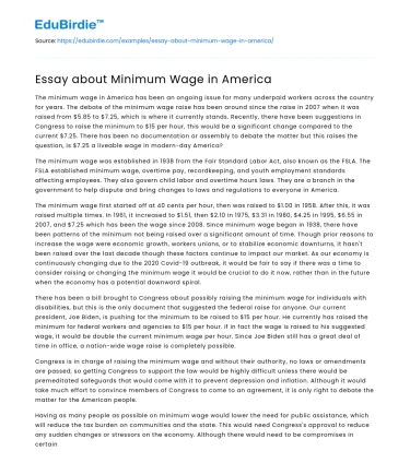 Essay about Minimum Wage in America