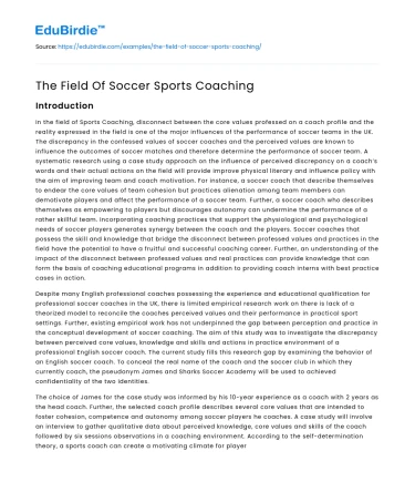 The Field Of Soccer Sports Coaching