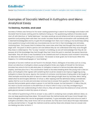Examples of Socratic Method in Euthyphro and Meno: Analytical Essay