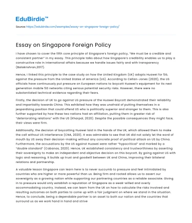 Essay on Singapore Foreign Policy