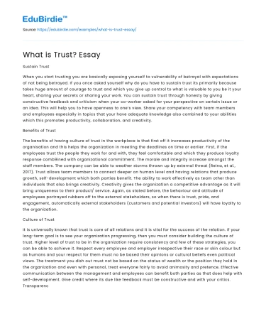 The Essence and Complexity of Trust