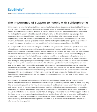 The Importance of Support to People with Schizophrenia