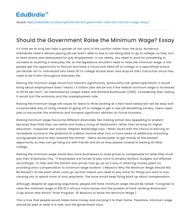 Should the Government Raise the Minimum Wage? Essay