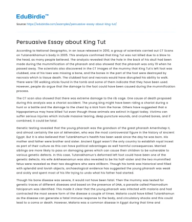 Persuasive Essay about King Tut