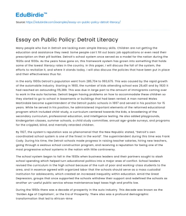 Essay on Public Policy: Detroit Literacy