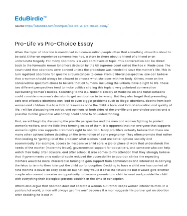 Pro-Life vs Pro-Choice Essay