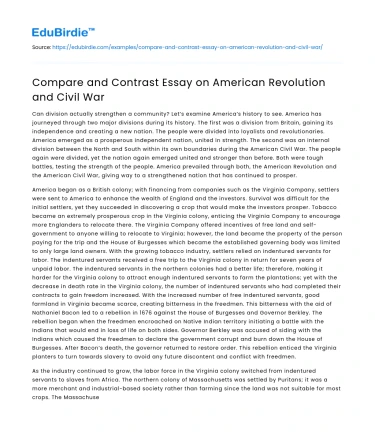 Compare and Contrast Essay on American Revolution and Civil War