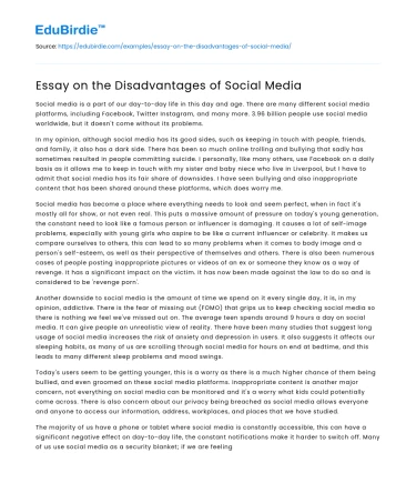 Essay on the Disadvantages of Social Media