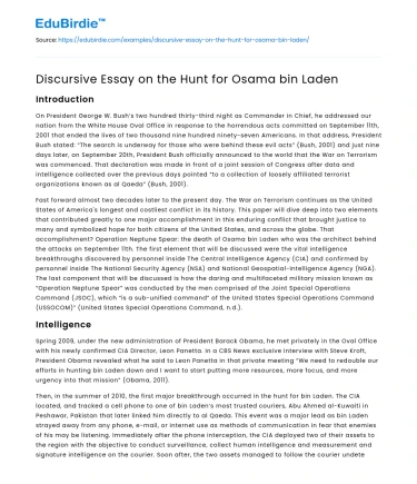 Discursive Essay on the Hunt for Osama bin Laden