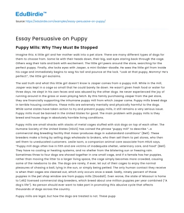 Essay Persuasive on Puppy