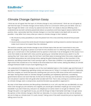 Climate Change Opinion Essay