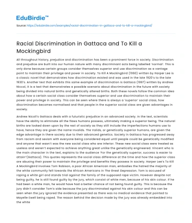 Racial Discrimination in Gattaca and To Kill a Mockingbird