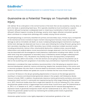 Guanosine as a Potential Therapy on Traumatic Brain Injury