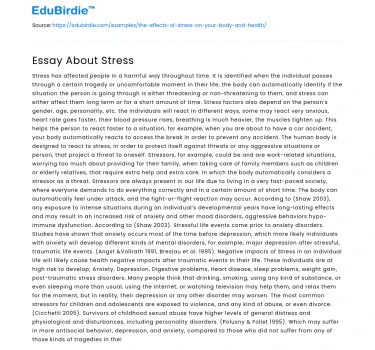 Essay About Stress