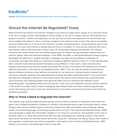 Should the Internet Be Regulated? Essay