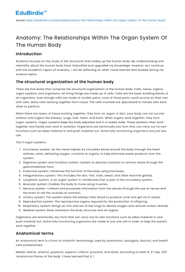 Anatomy: The Relationships Within The Organ System Of The Human Body