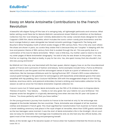 Essay on Marie Antoinette Contributions to the French Revolution